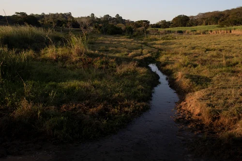Consultoria ambiental sp