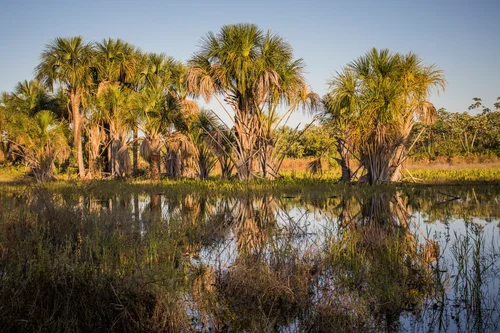 Consultoria e licenciamento ambiental