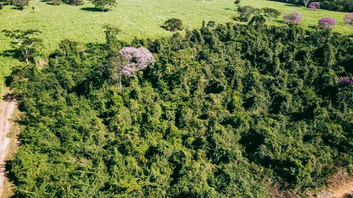 Empresa de consultoria ambiental