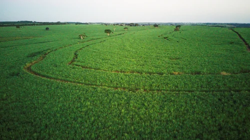 Empresa de engenharia ambiental