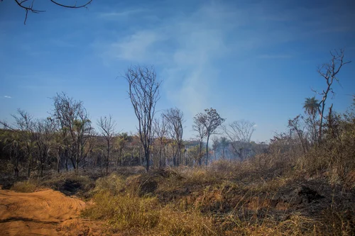Empresa de engenharia de projetos ambientais