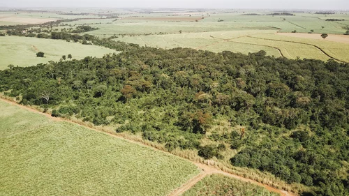 Empresa de programa de prevenção e combate a incêndios florestais