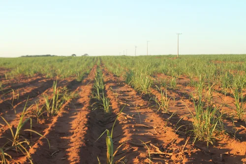 Empresas que fazem licenciamento ambiental