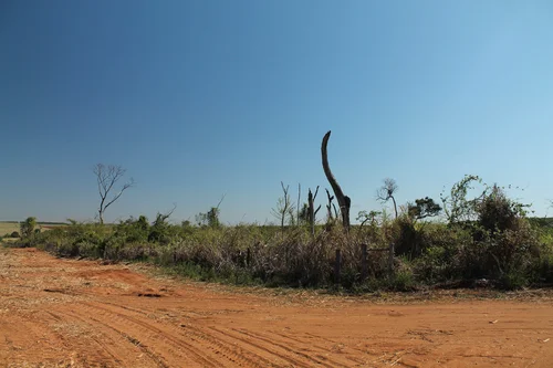 Laudo ambiental empresa