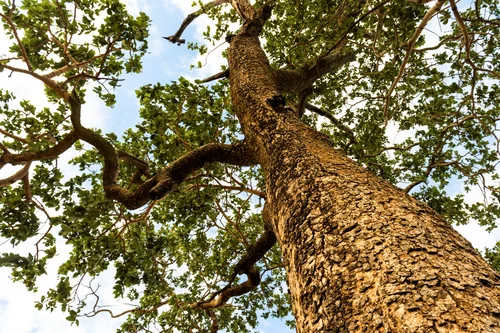 Licenciamento ambiental de empreendimentos