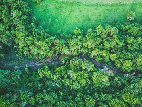 Licenciamento ambiental em são paulo