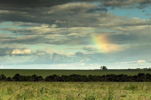 Serviço de engenharia ambiental